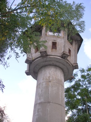 P1010029.JPG