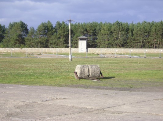 P1010061.JPG